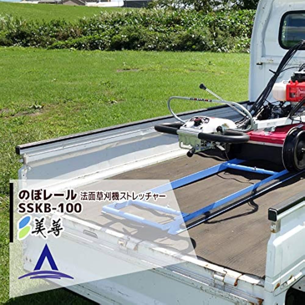 ももんじさん専用 61lcl-cWV9L._UF350,350_QL80_.jpg